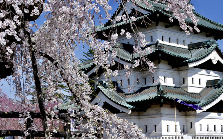 img-taiwan4